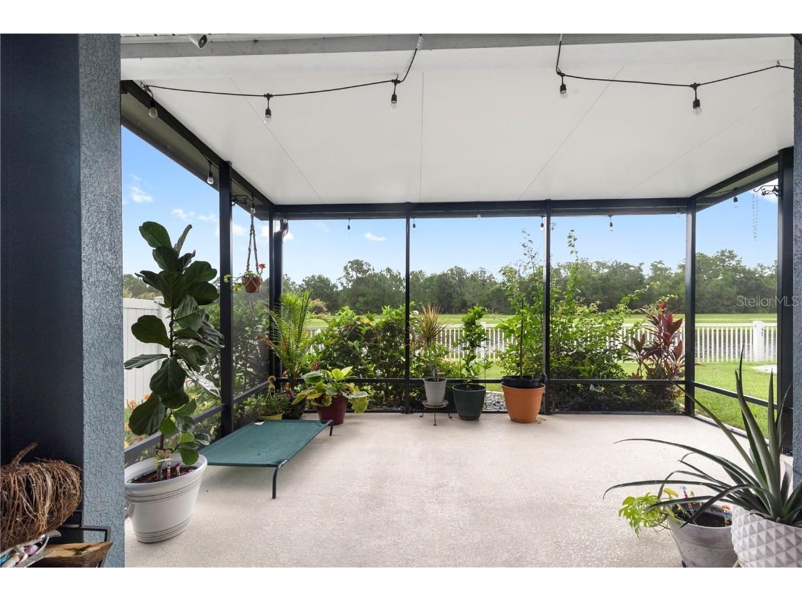 13352 Palmera Vista Drive Riverview FL 33579 TB8400322 image40