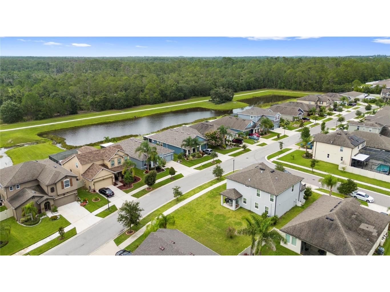 13352 Palmera Vista Drive Riverview FL 33579 TB8400322 image71