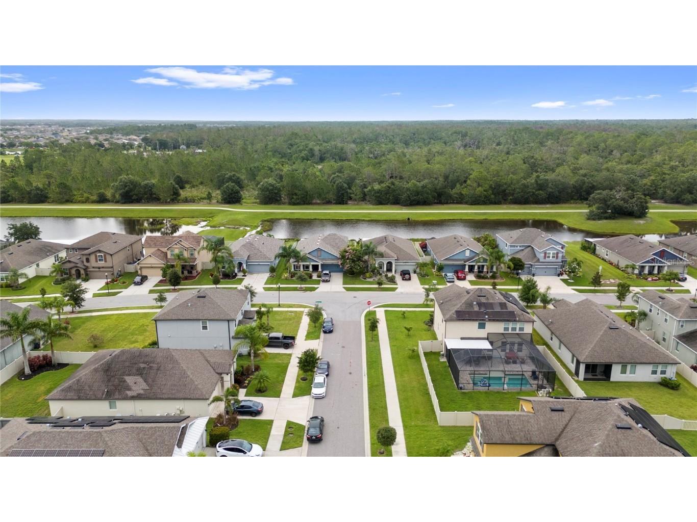 13352 Palmera Vista Drive Riverview FL 33579 TB8400322 image75