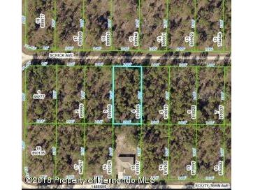 13352 Schick Avenue Brooksville FL 34614 TB8495996 image1