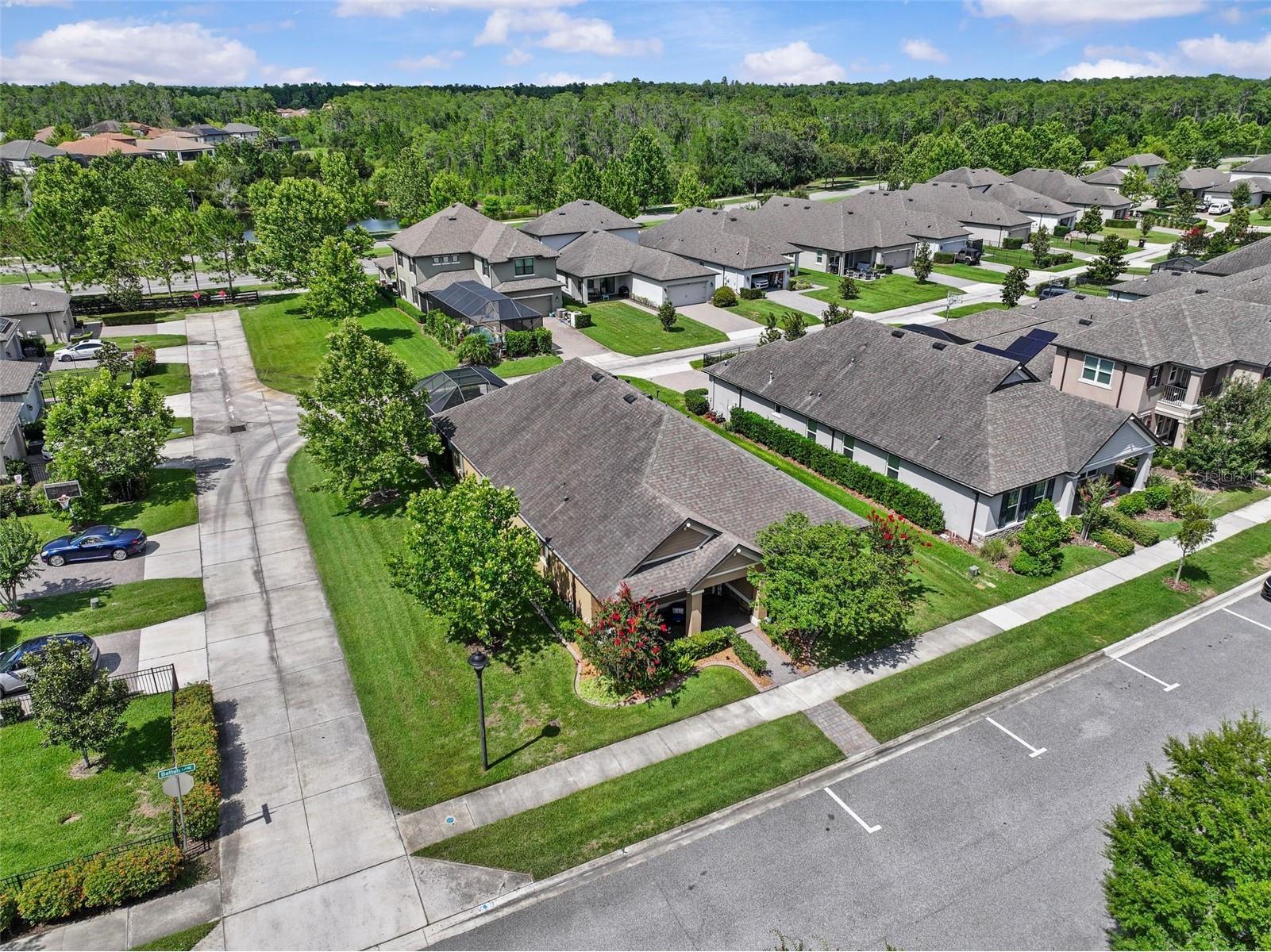 13353 Batten Lane Odessa FL 33556 TB8517607 image44