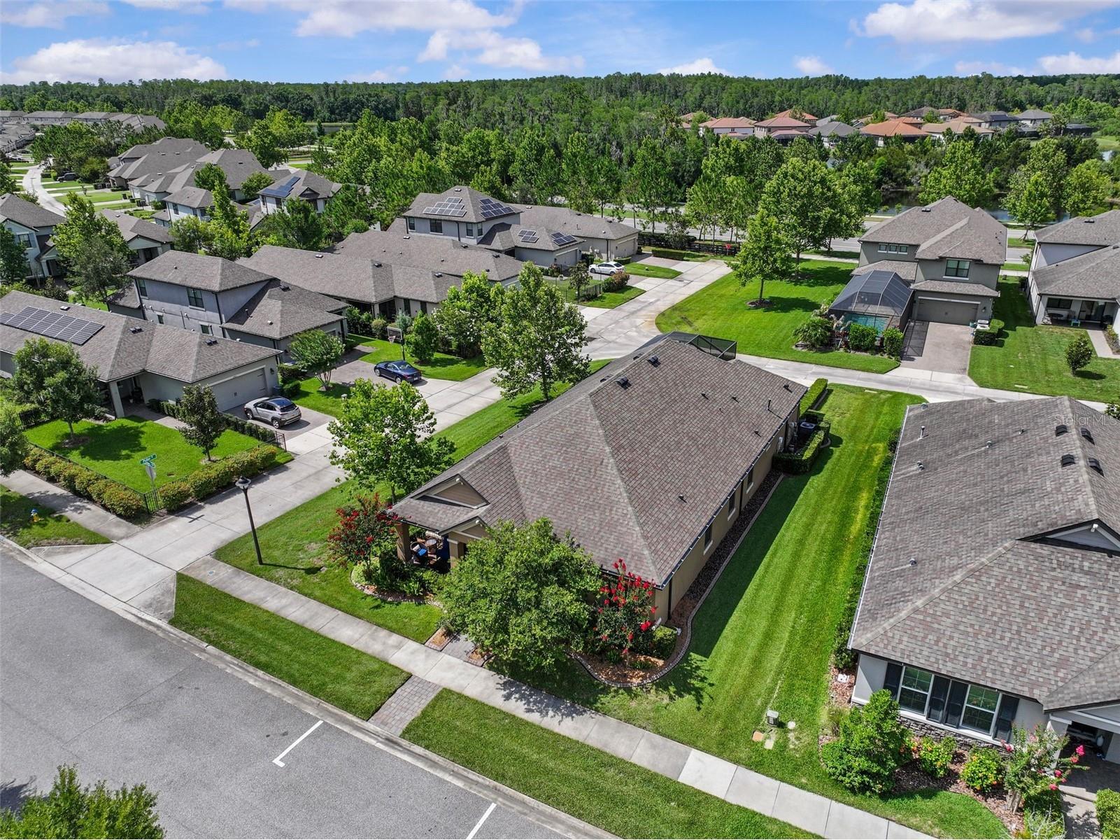 13353 Batten Lane Odessa FL 33556 TB8517607 image46