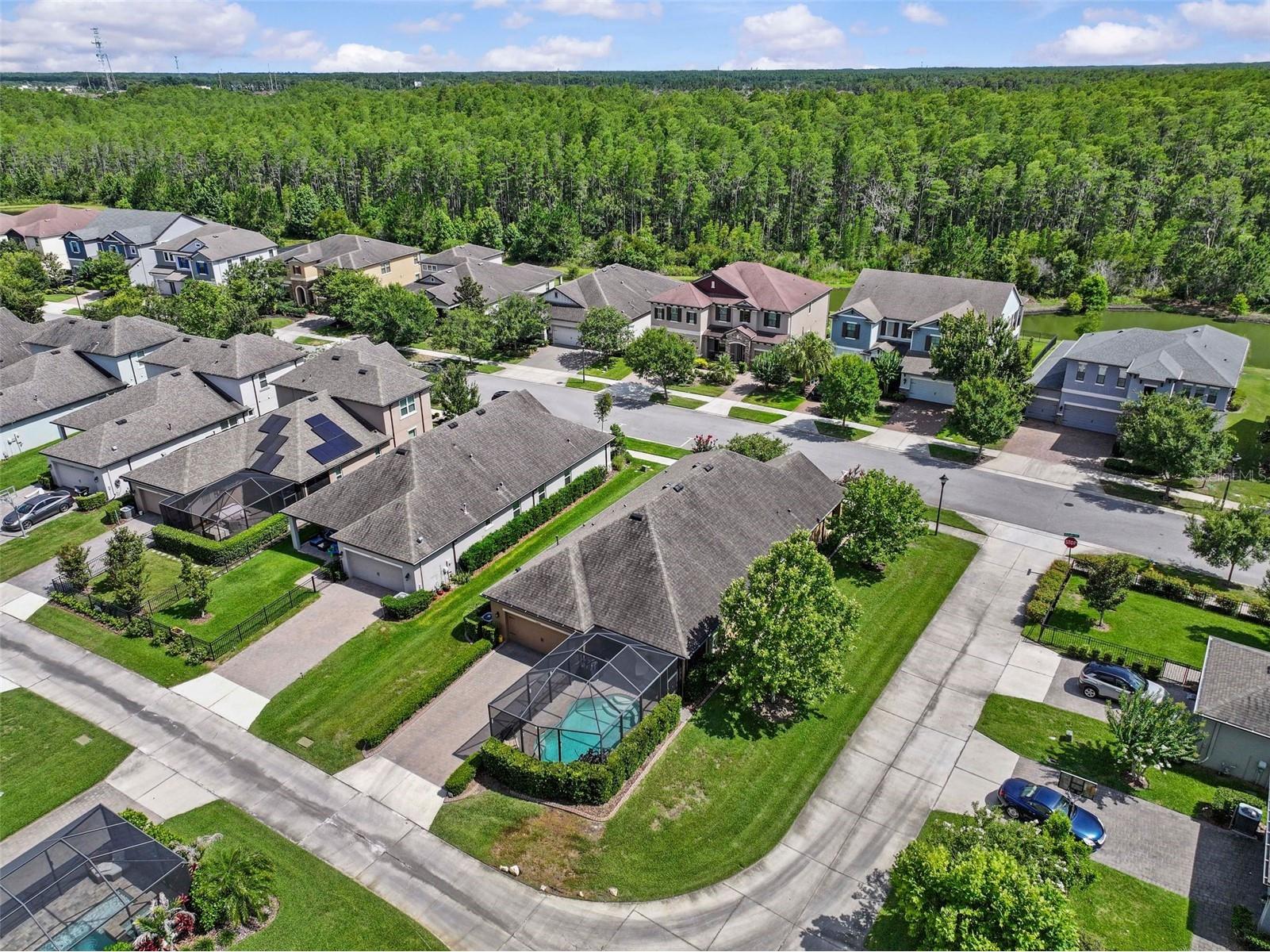 13353 Batten Lane Odessa FL 33556 TB8517607 image47