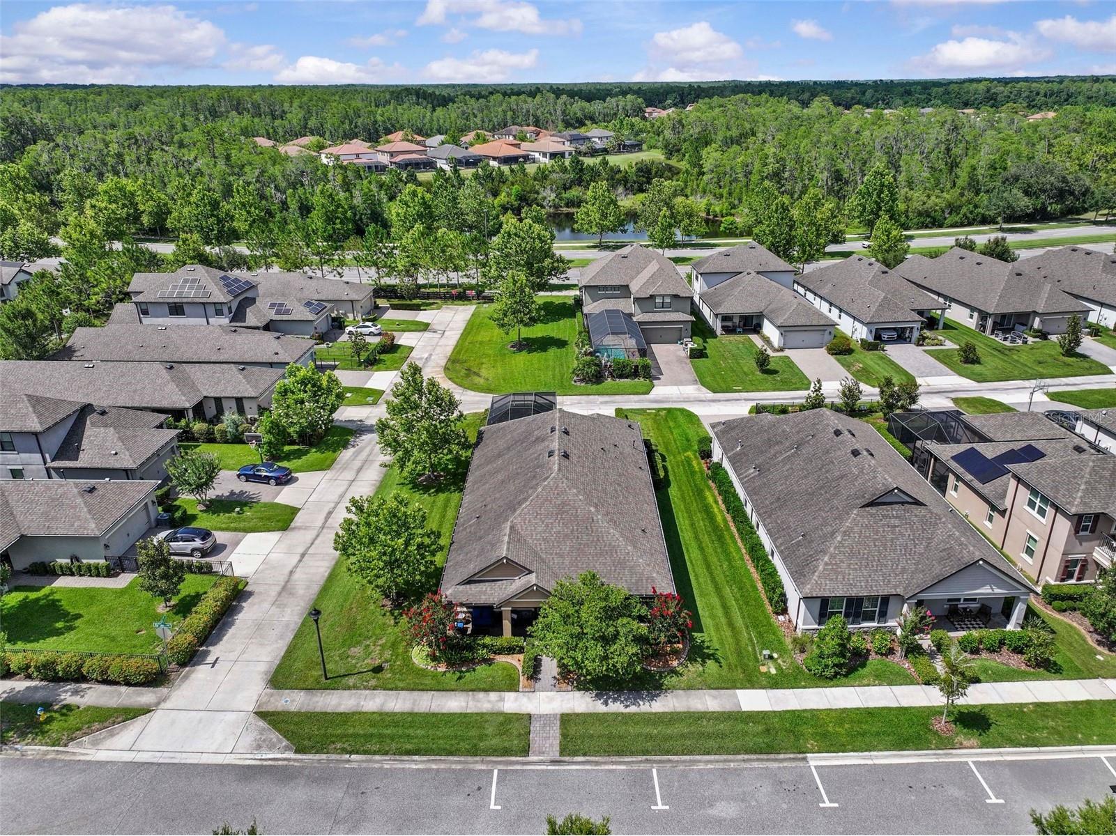 13353 Batten Lane Odessa FL 33556 TB8517607 image6