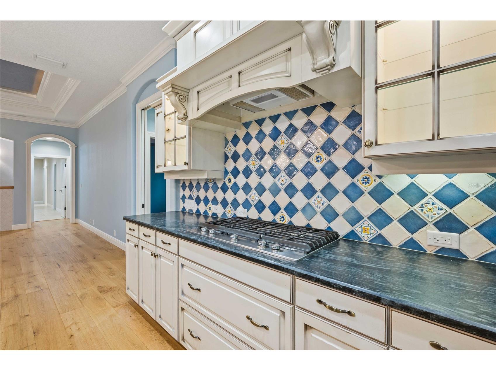 13353 Carnoustie Circle Dade City FL 33525 TB8403054 image23