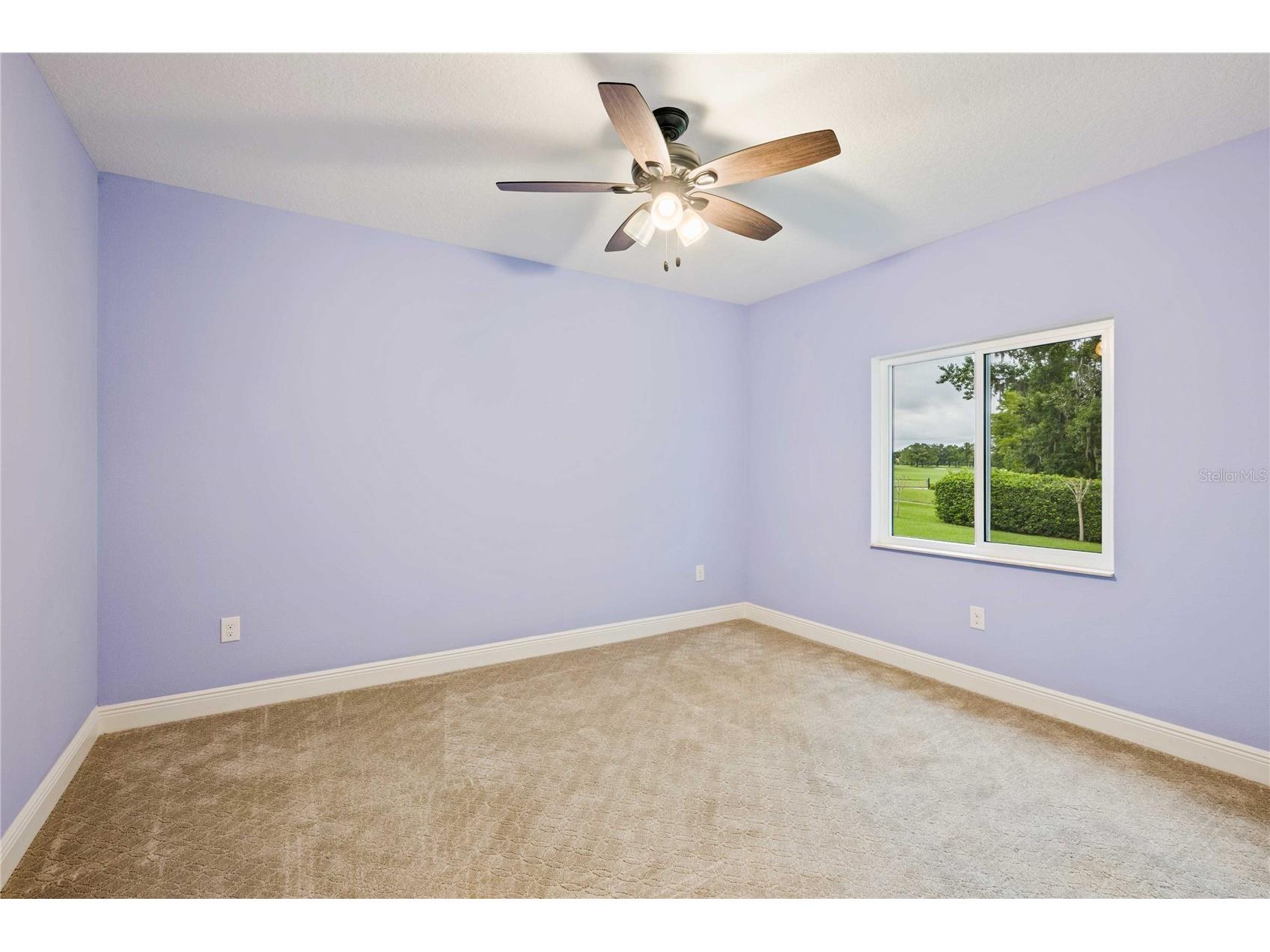 13353 Carnoustie Circle Dade City FL 33525 TB8403054 image48