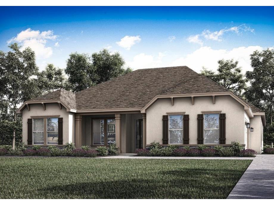 13356 Oldenburg Drive Hudson FL 34667 T3467130 image1
