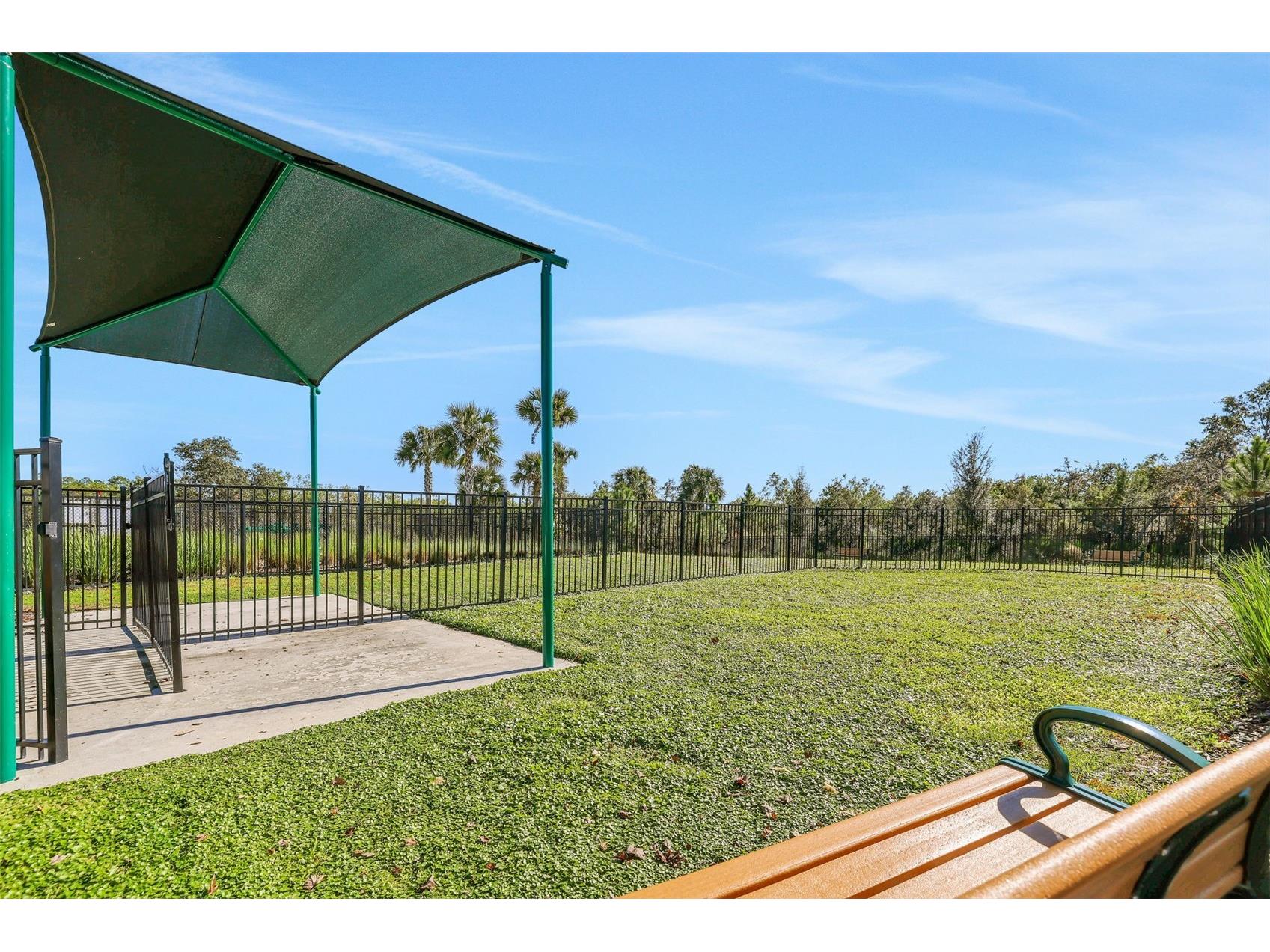 13356 Peaceful Melody Drive Winter Garden FL 34787 G5105237 image6