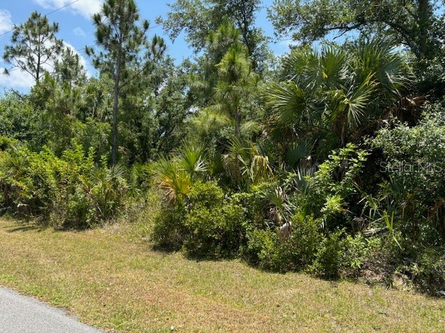 13357 Drummond Avenue Port Charlotte FL 33953 C7492631 image1