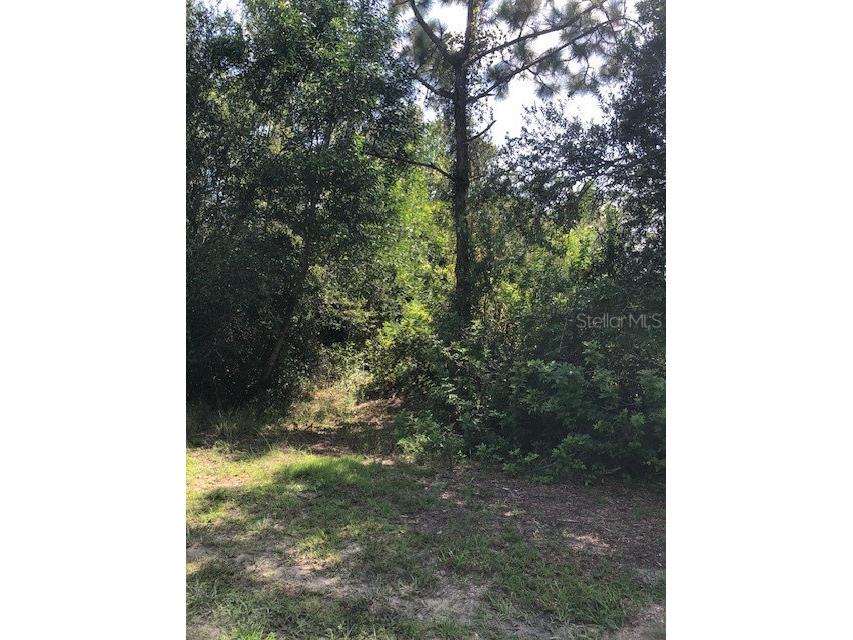 13358 Cappy Terrace Punta Gorda FL 33955 A4663620 image2