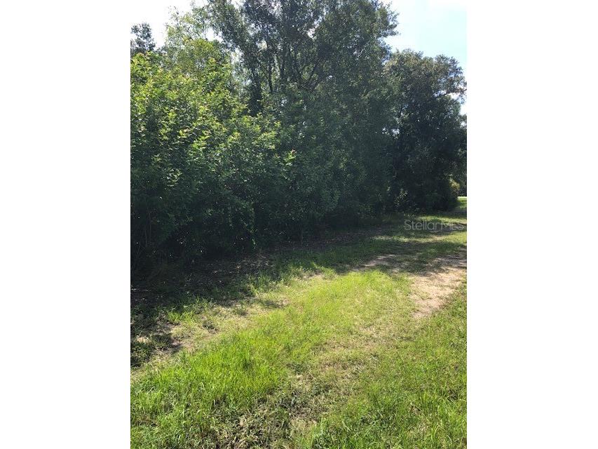 13358 Cappy Terrace Punta Gorda FL 33955 A4663620 image3