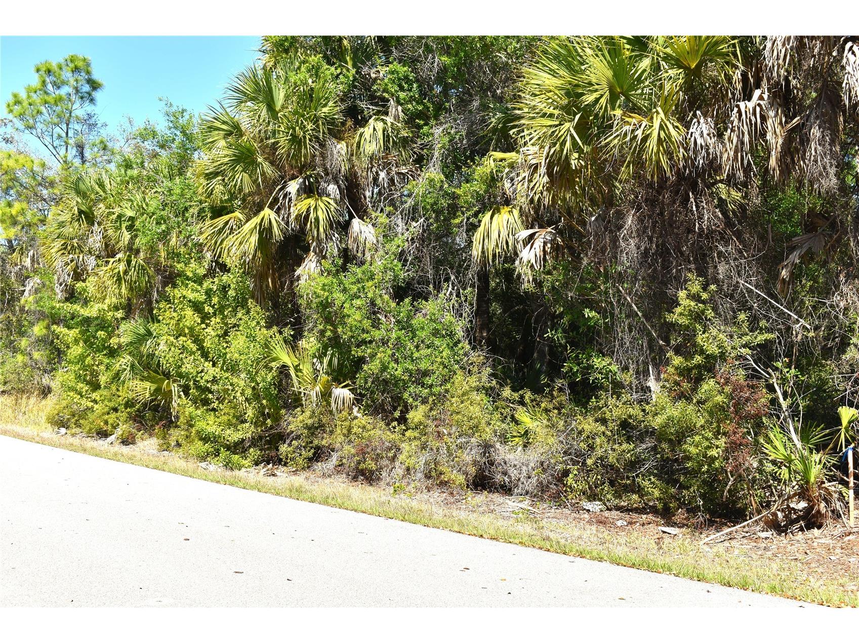 13358 Drummond Avenue Port Charlotte FL 33953 C7523158 image1