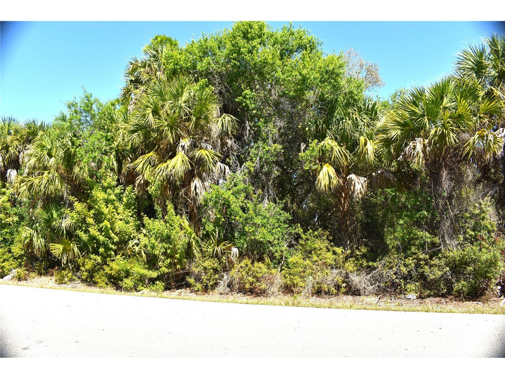 13358 Drummond Avenue Port Charlotte FL 33953 C7523158 image2
