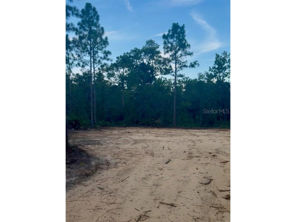 13358 Potomac Avenue Brooksville FL 34614 TB8422766 image1