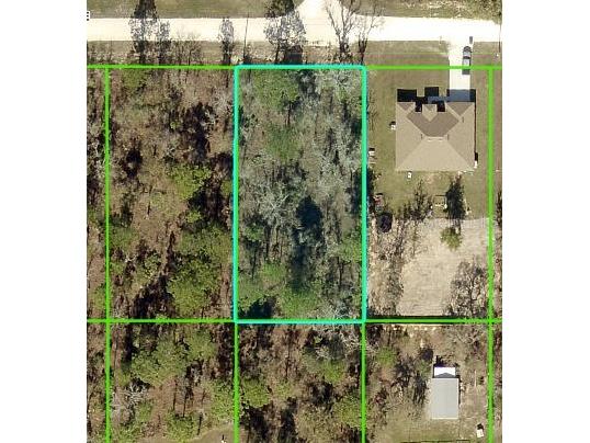 13358 Velvet Scoter Avenue Brooksville FL 34614 W7875885 image1