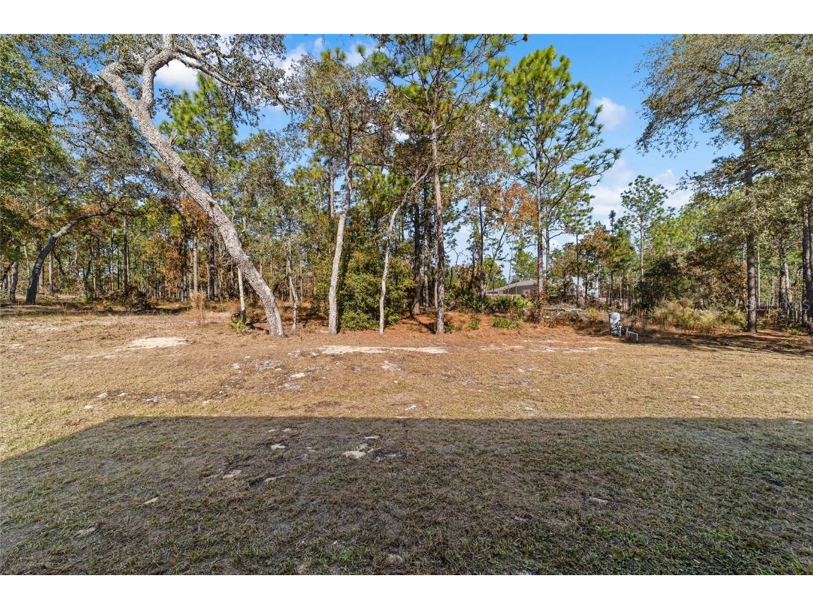 13359 SW 80th Street Dunnellon FL 34432 OM679286 image60