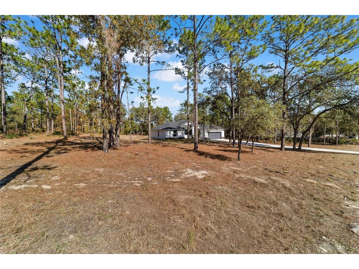 13359 SW 80th Street Dunnellon FL 34432 OM679286 image64