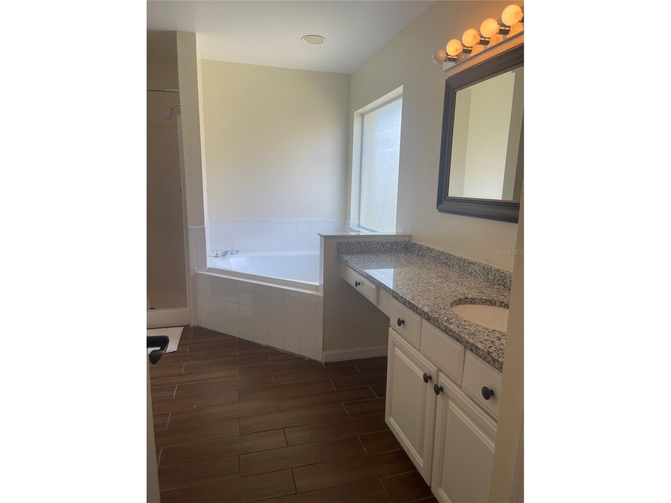 1336 Casterton Circle Davenport FL 33897 P4938787 image29