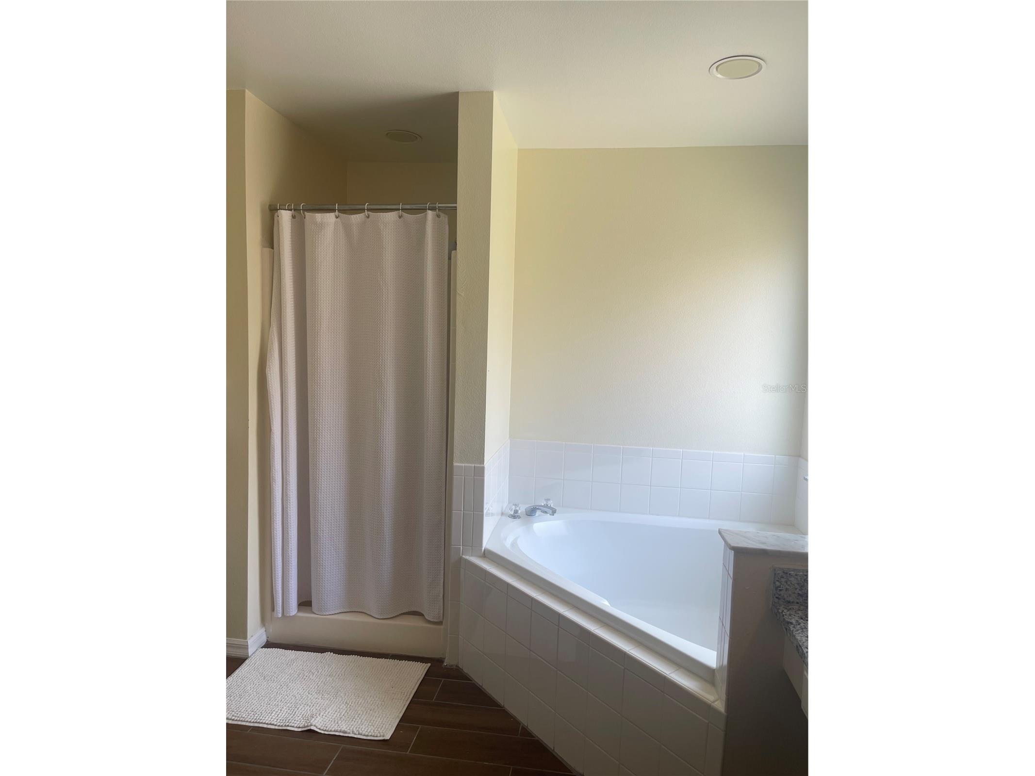 1336 Casterton Circle Davenport FL 33897 P4938787 image30