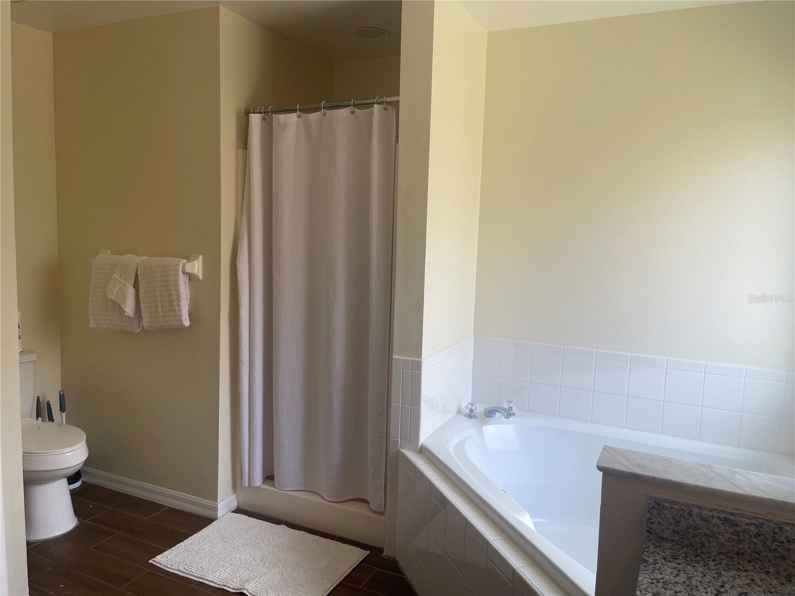1336 Casterton Circle Davenport FL 33897 P4938787 image31