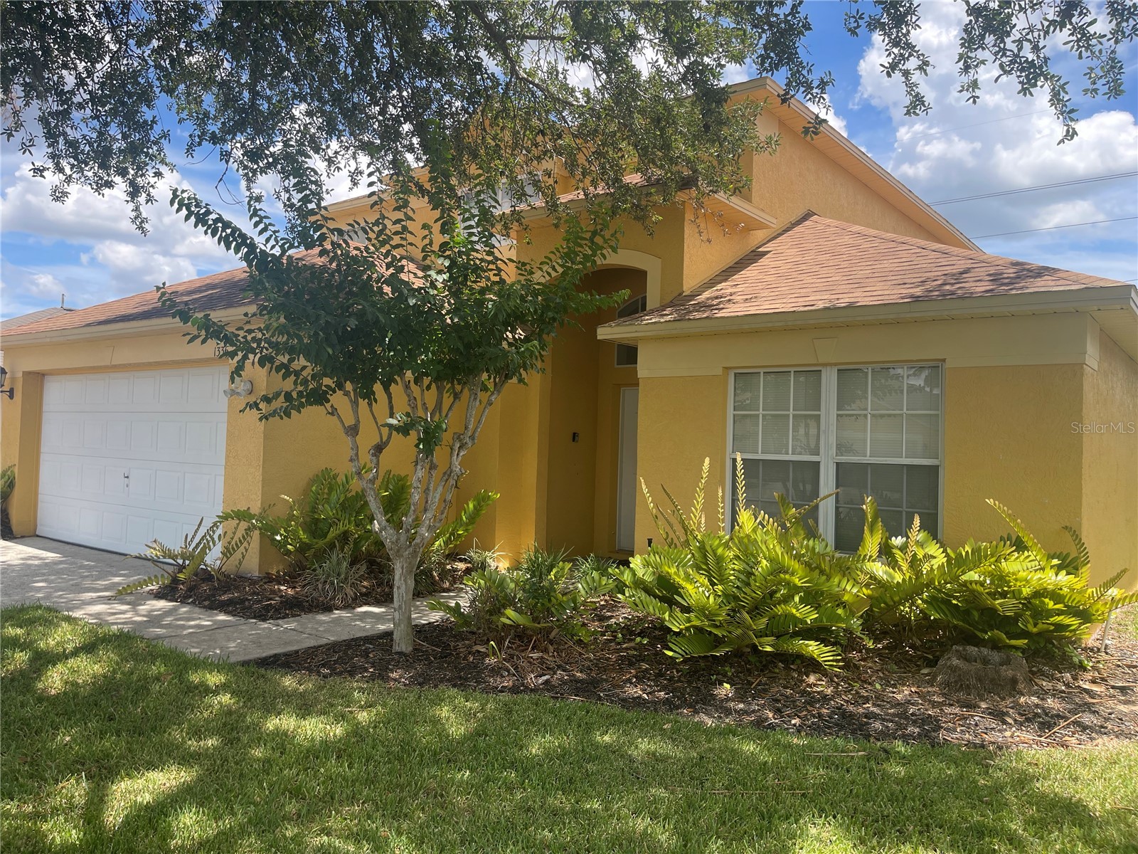 1336 Casterton Circle Davenport FL 33897 P4938787 image5
