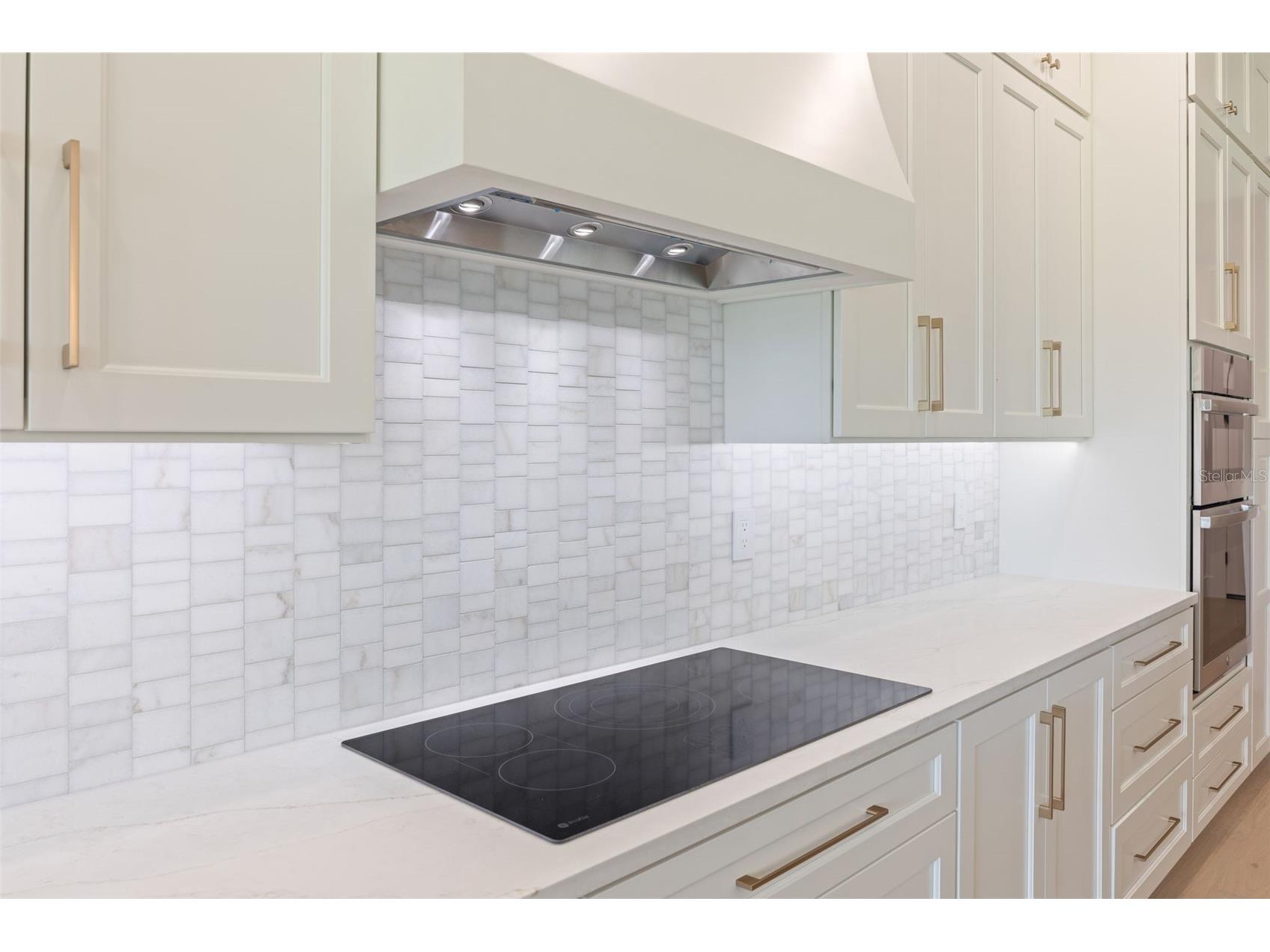 1336 Hays Road Tarpon Springs FL 34689 TB8521200 image21
