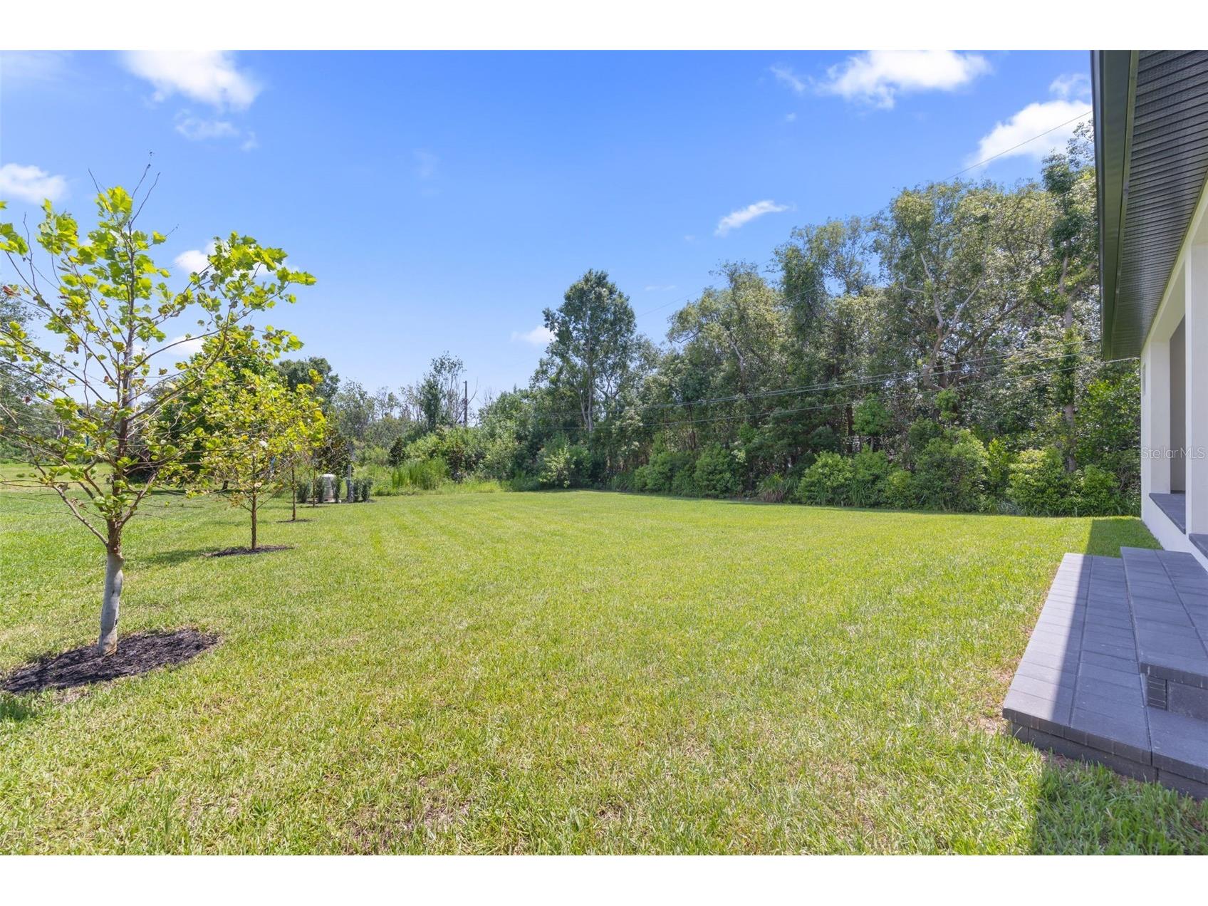 1336 Hays Road Tarpon Springs FL 34689 TB8521200 image71