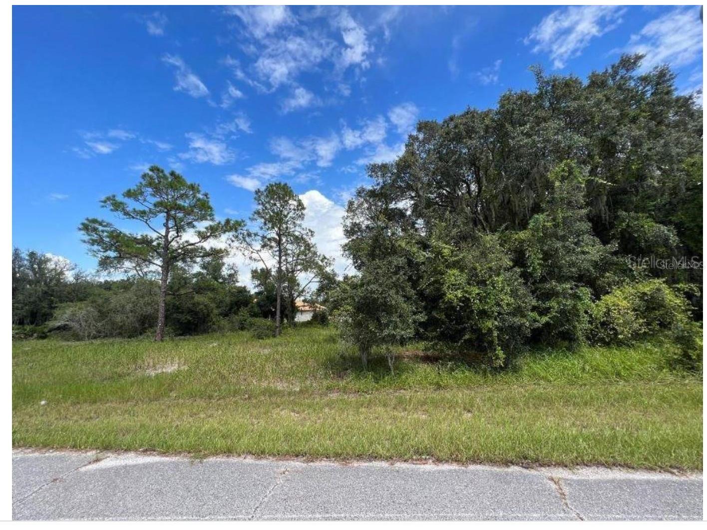 1336 Hillsborough Court Poinciana FL 34759 O6424758 image1