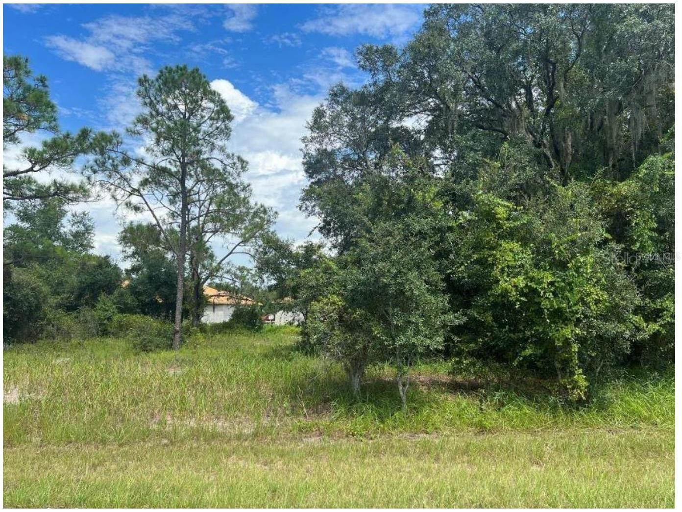 1336 Hillsborough Court Poinciana FL 34759 O6424758 image3