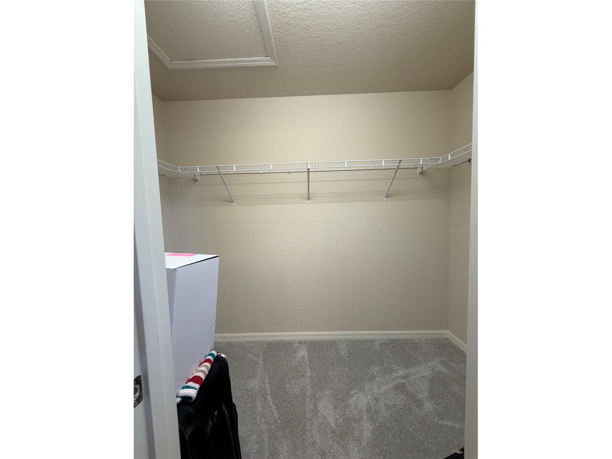 1336 Merrimack Place Davenport FL 33837 P4938204 image20