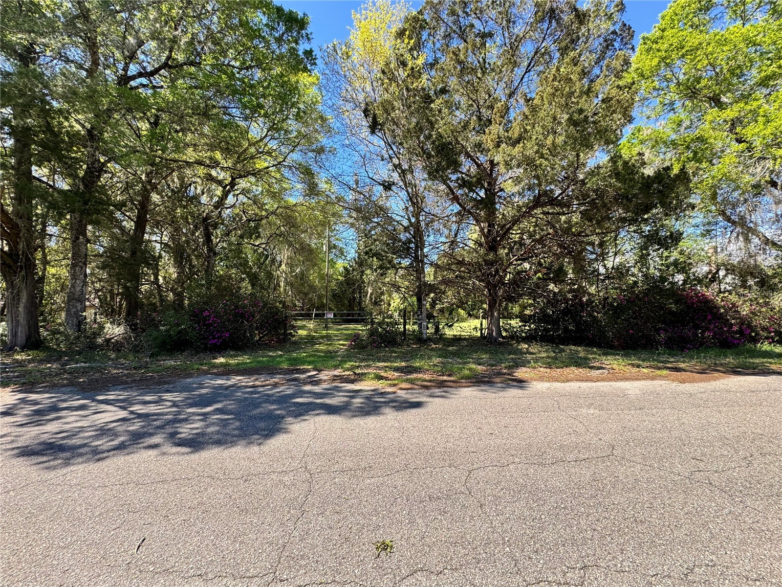 1336 NE 191st Terrace Hawthorne FL 32640 GC539410 image4