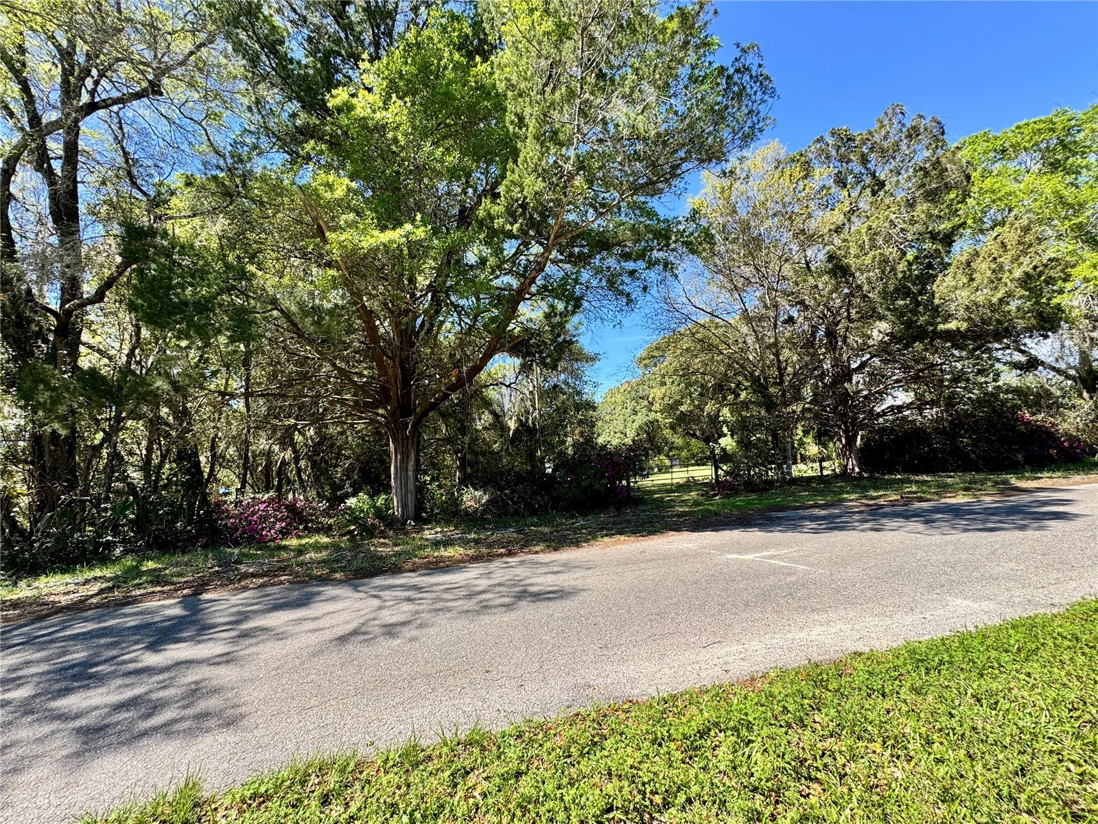 1336 NE 191st Terrace Hawthorne FL 32640 GC539410 image5