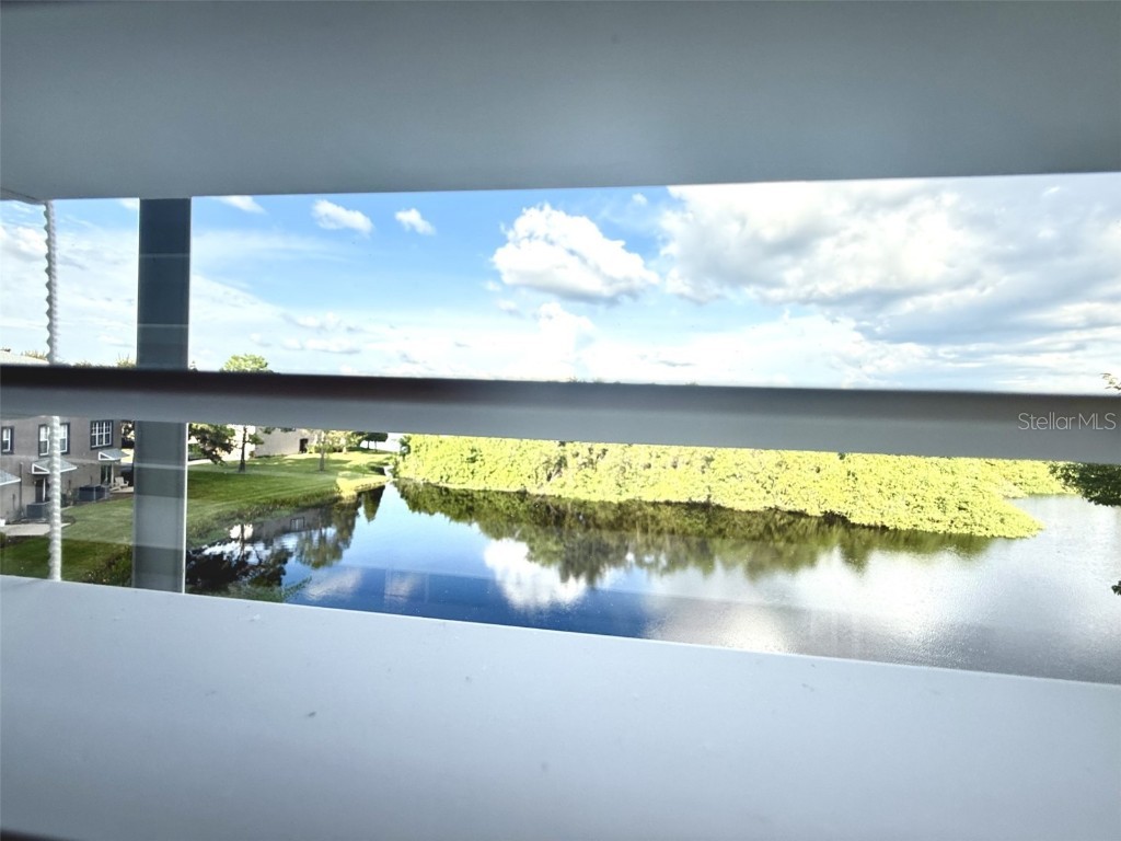 1336 Salem Orchard Lane Brandon FL 33511 TB8436351 image18