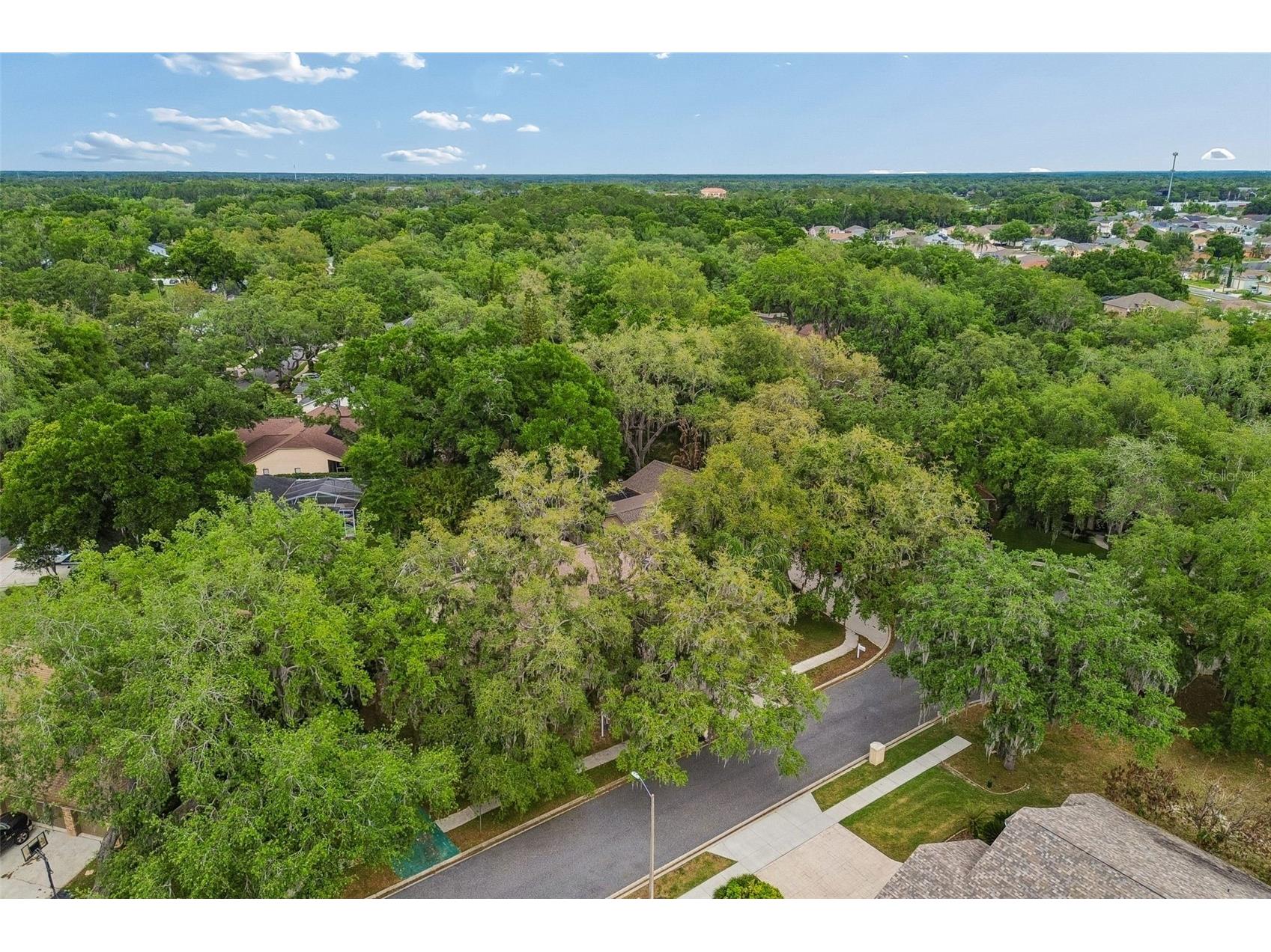 1336 Waterwood Drive Lutz FL 33559 TB8501839 image34