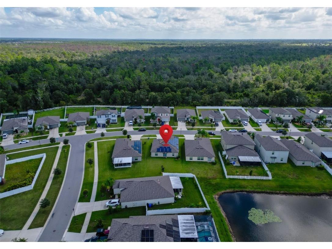 13360 Willow Bluestar Loop Riverview FL 33579 TB8436480 image44