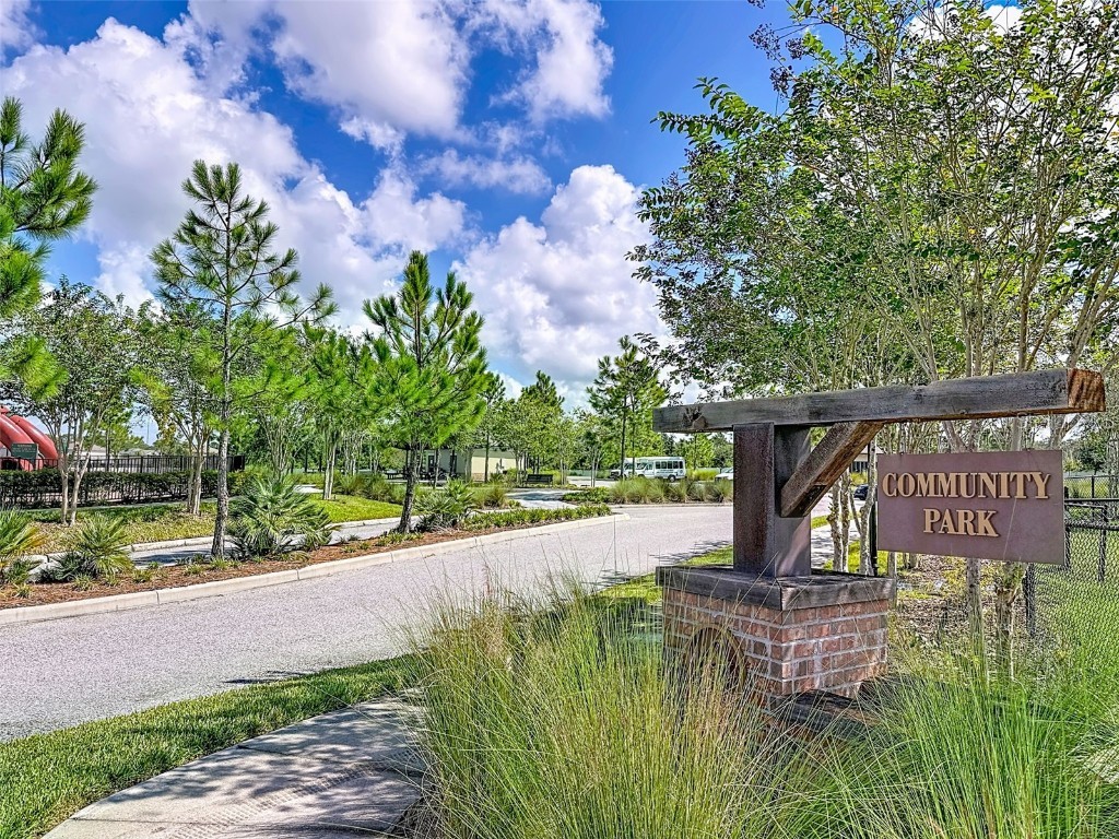 13360 Willow Bluestar Loop Riverview FL 33579 TB8436480 image48