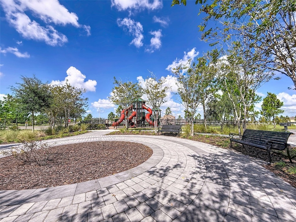 13360 Willow Bluestar Loop Riverview FL 33579 TB8436480 image49