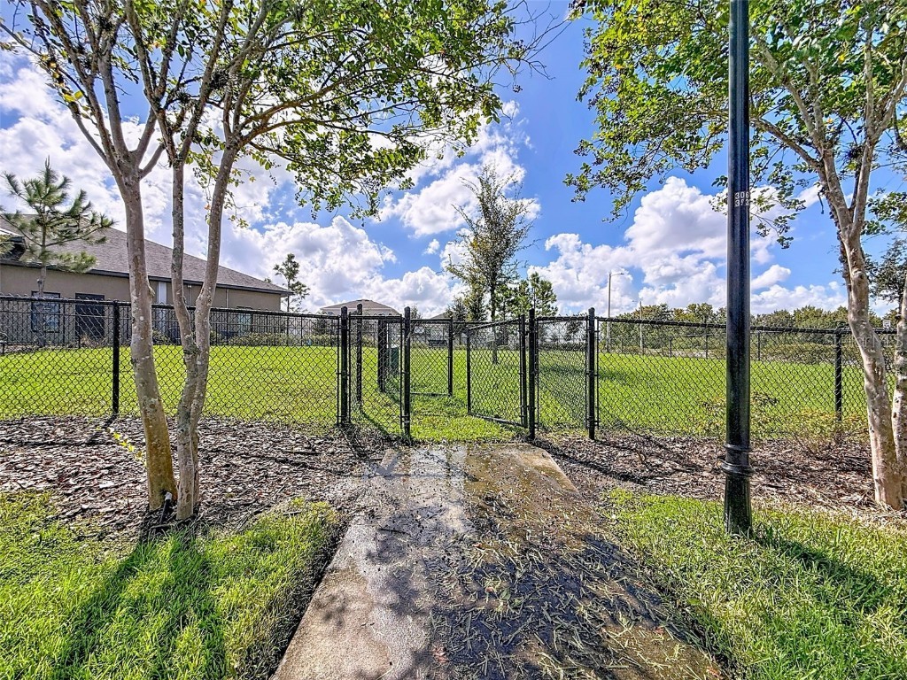 13360 Willow Bluestar Loop Riverview FL 33579 TB8436480 image52