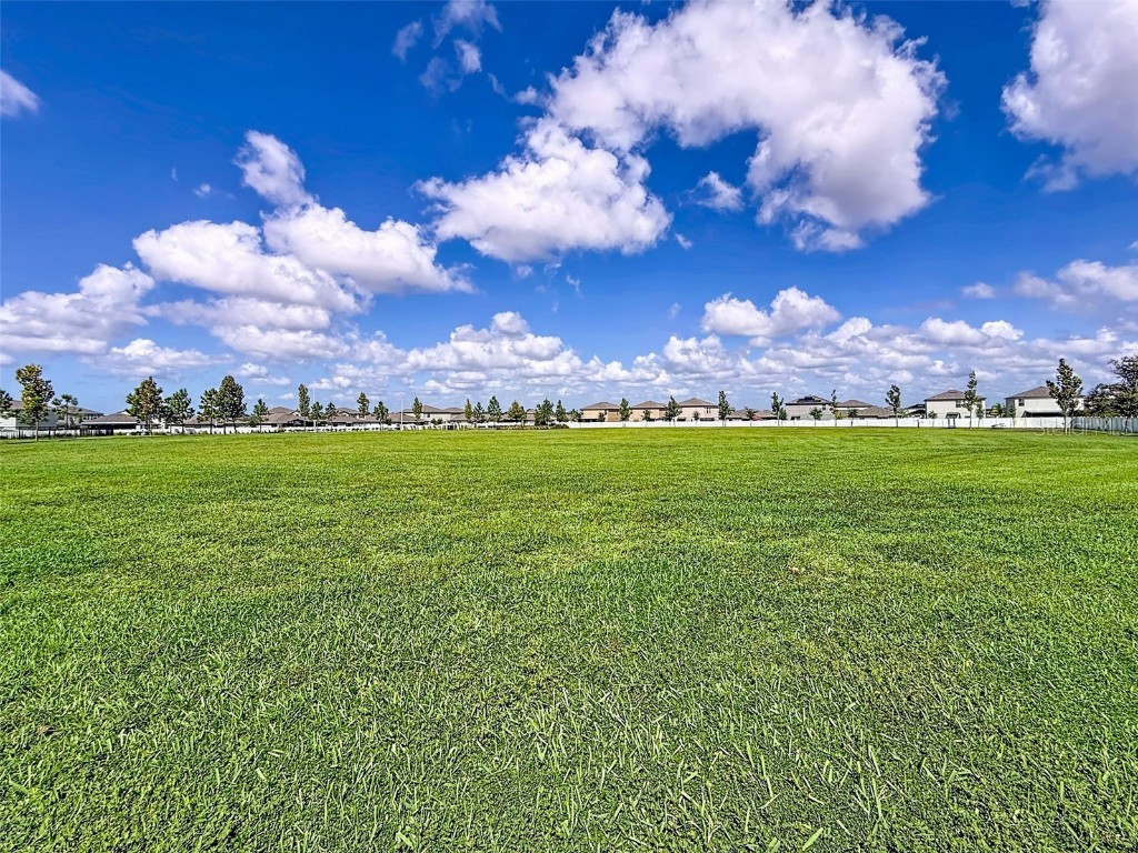 13360 Willow Bluestar Loop Riverview FL 33579 TB8436480 image53