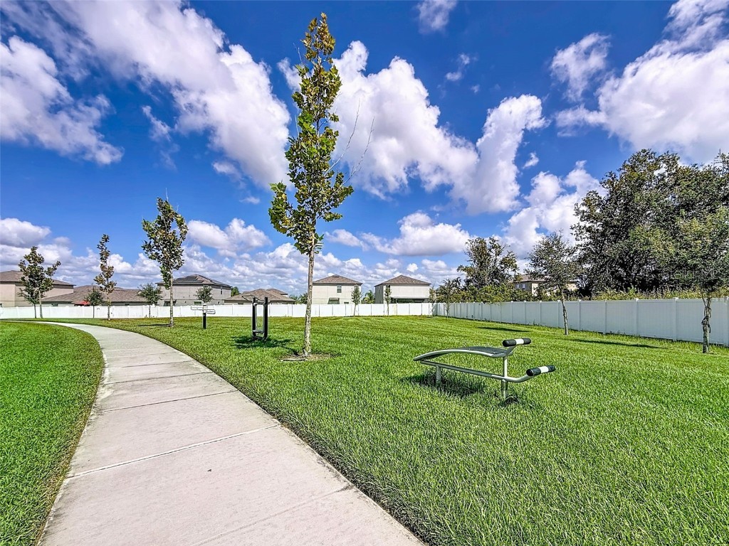 13360 Willow Bluestar Loop Riverview FL 33579 TB8436480 image54