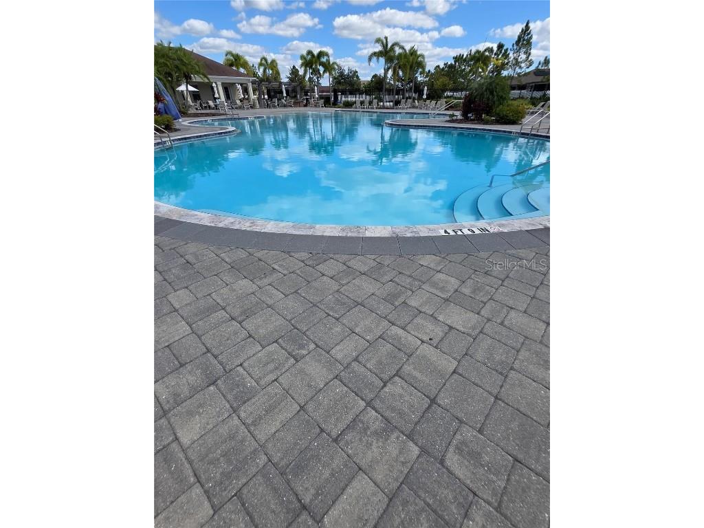 13360 Willow Bluestar Loop Riverview FL 33579 TB8436480 image67