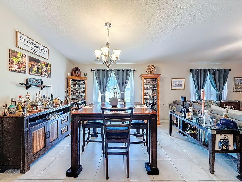 13360 Willow Bluestar Loop Riverview FL 33579 TB8436480 image8