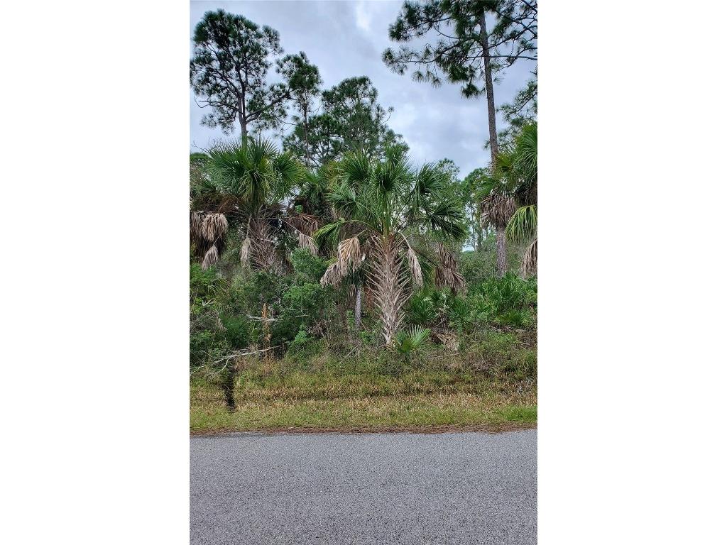 13361 Johannes Avenue Port Charlotte FL 33953 D6134429 image1