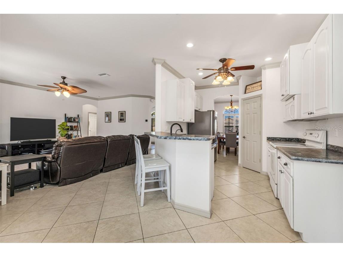 13361 SW Pembroke Circle N Lake Suzy FL 34269 C7517137 image17