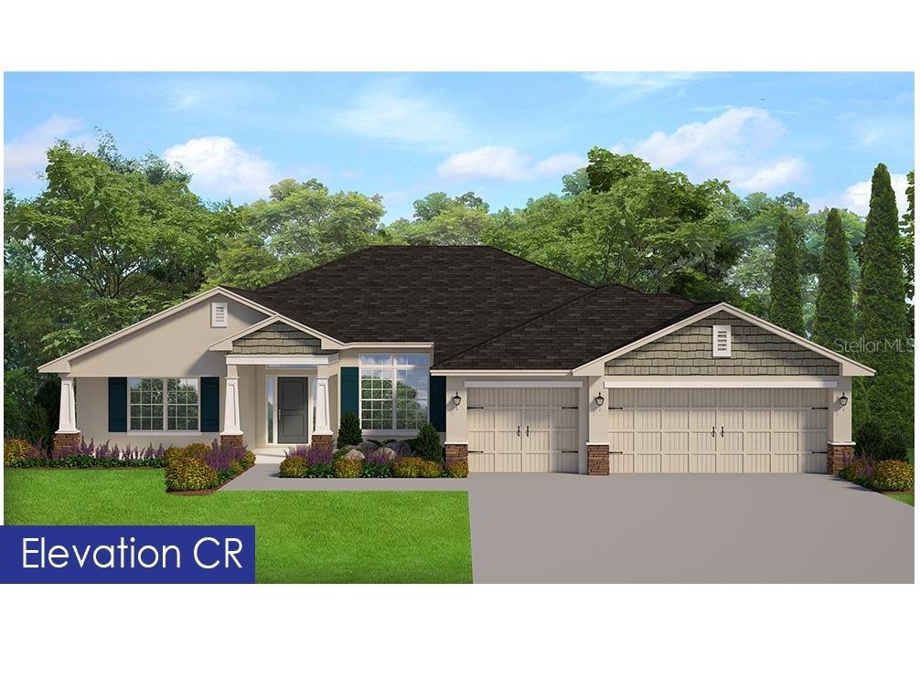 13362 Quigley Avenue Weeki Wachee FL 34614 OM700210 image1