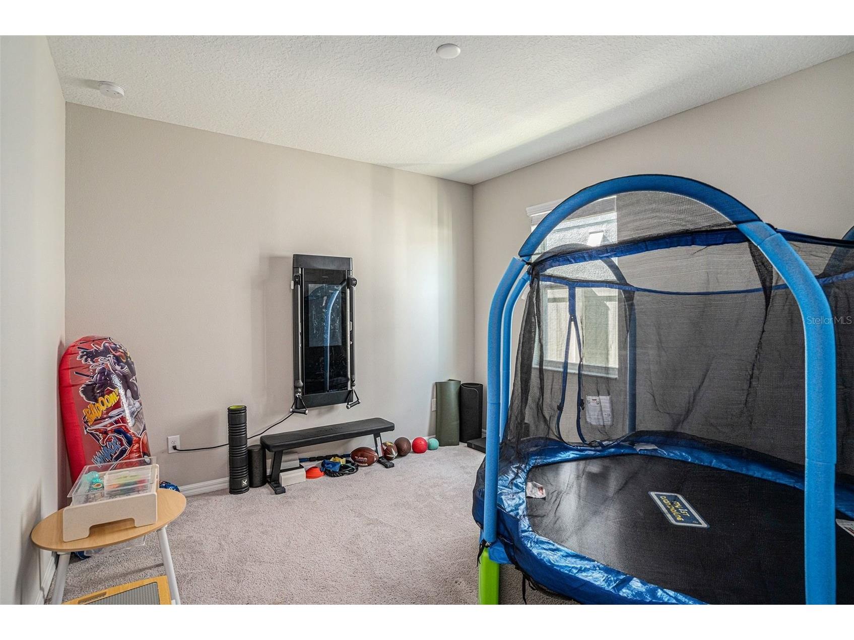 13362 Sage Hollow Avenue Riverview FL 33579 TB8473942 image11