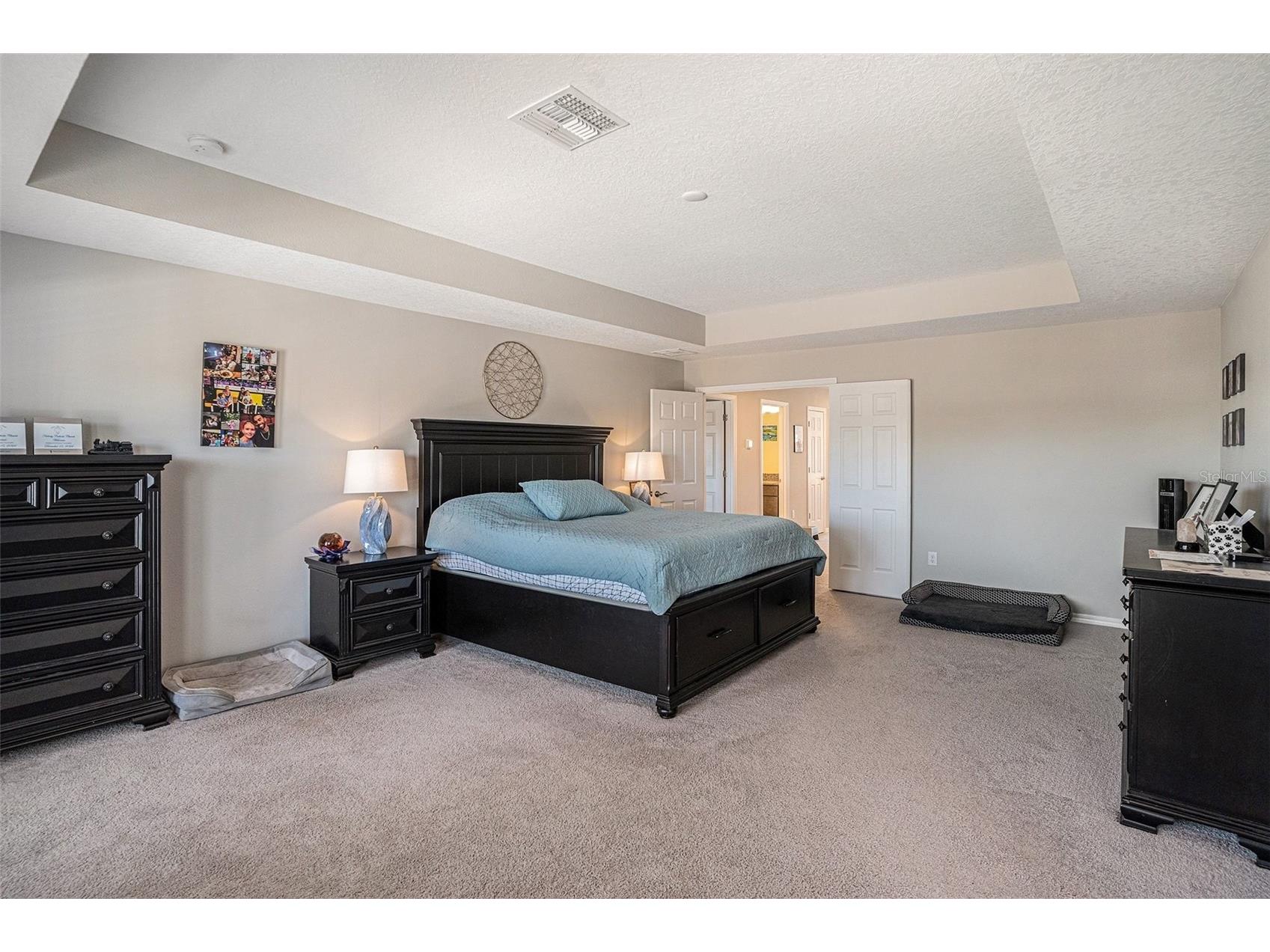 13362 Sage Hollow Avenue Riverview FL 33579 TB8473942 image17