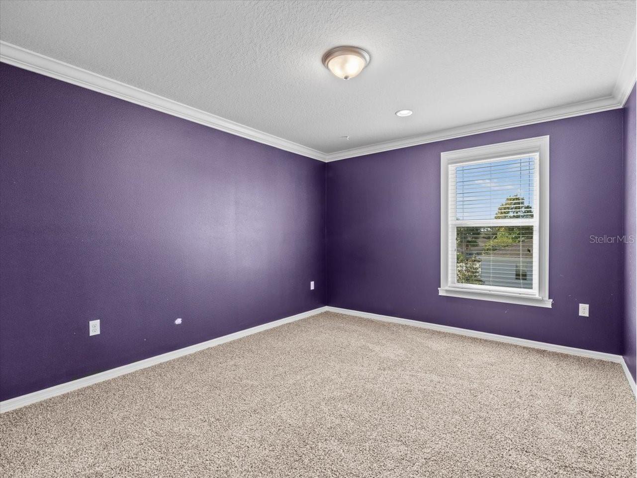 13366 Barkingside Place Spring Hill FL 34609 W7882327 image37