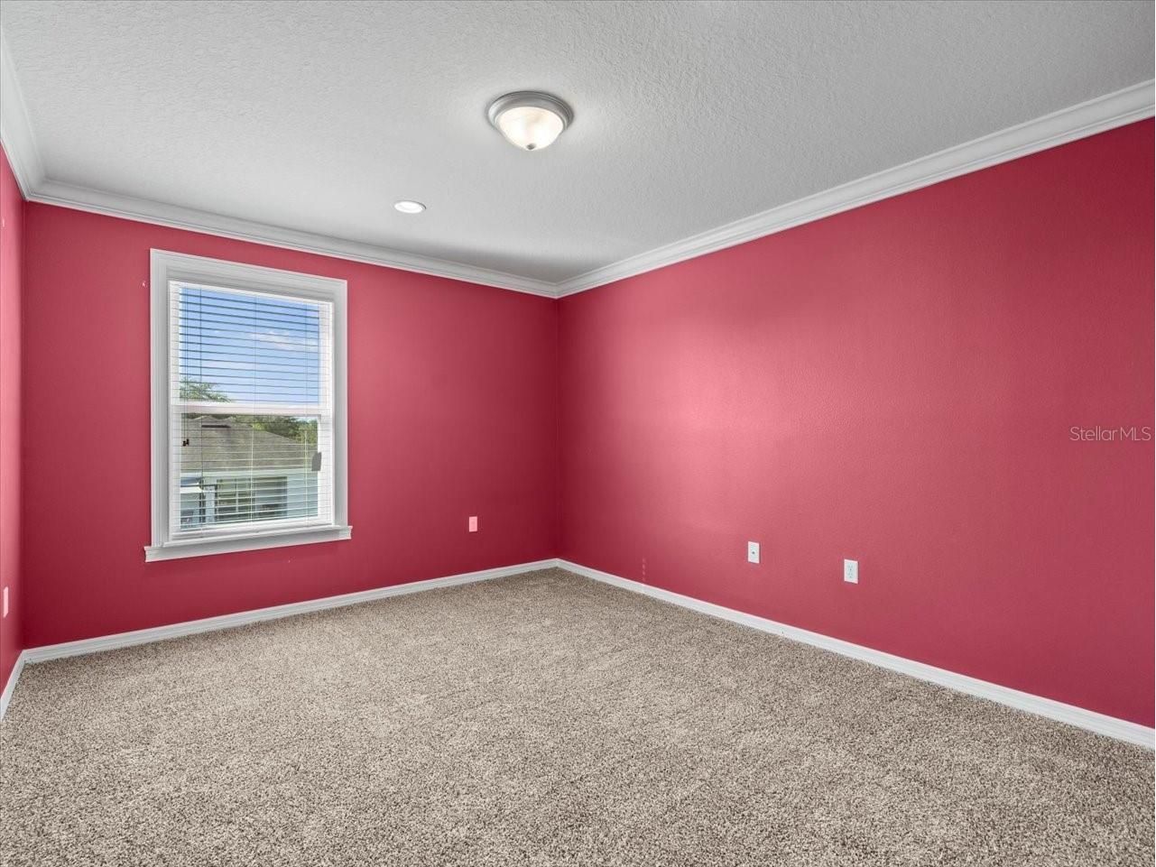 13366 Barkingside Place Spring Hill FL 34609 W7882327 image38