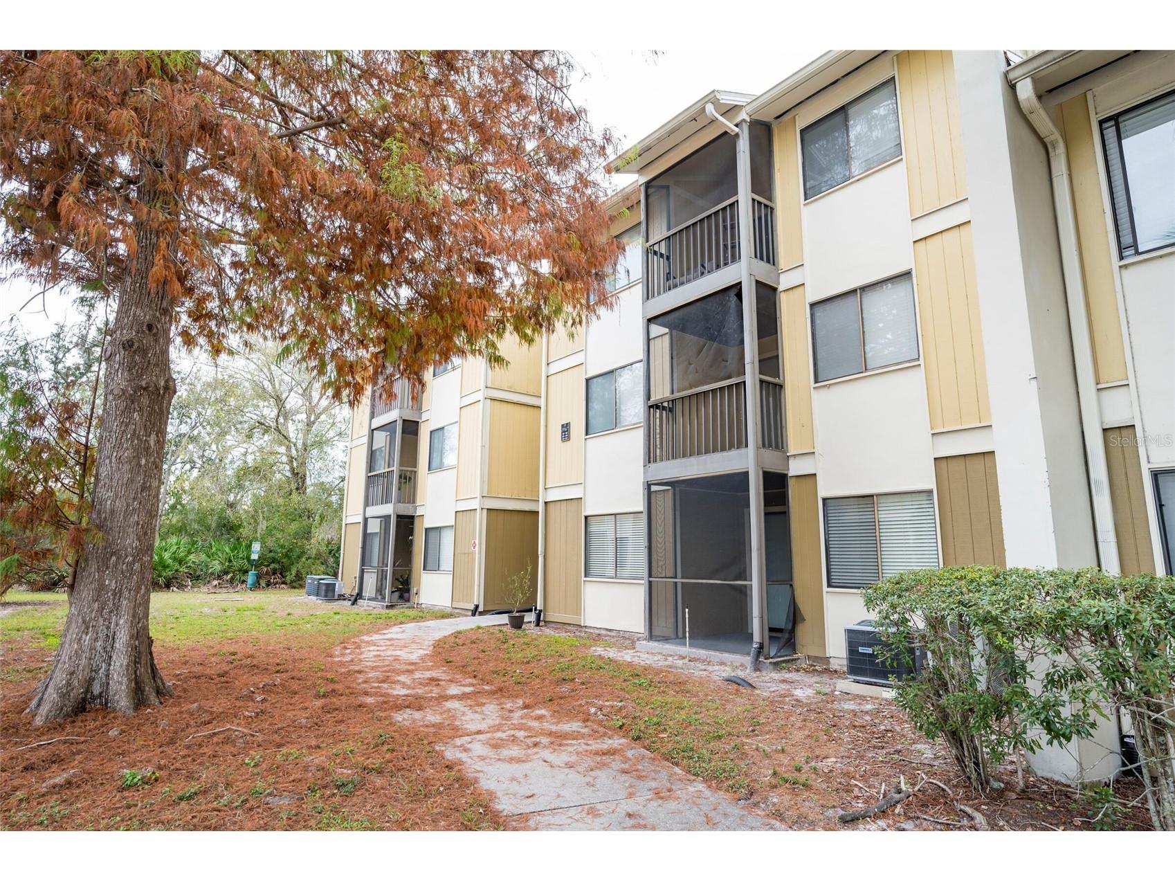 13367 Arbor Pointe Circle #304 Tampa FL 33617 TB8465628 image1